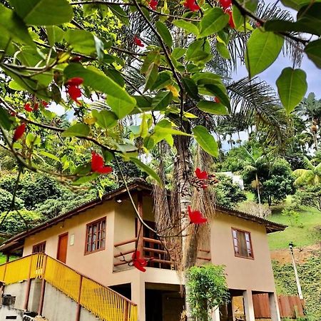 Отель Sitio Dos Palmitos - Casa Pupunha Педра-Азул Экстерьер фото