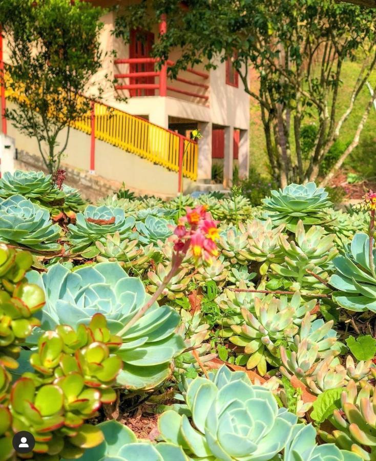 Отель Sitio Dos Palmitos - Casa Pupunha Педра-Азул Экстерьер фото